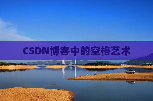 CSDN博客中的空格艺术